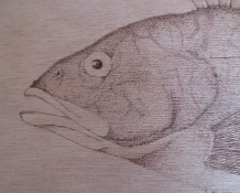 Portfolio Item